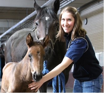 mare_foal