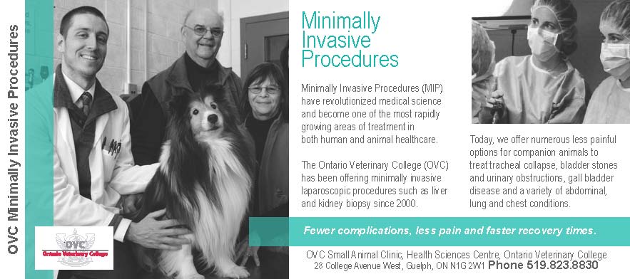 HSC_Service_Card_MIP_FINAL_Page_1